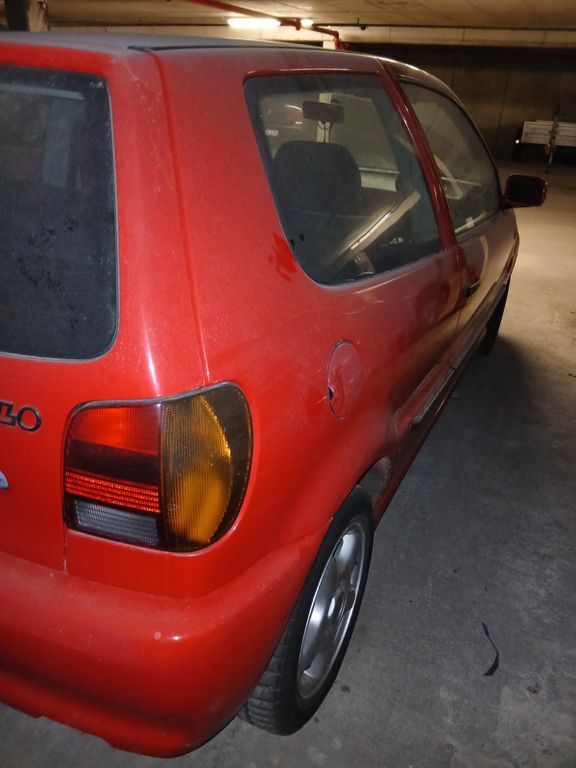 Polo