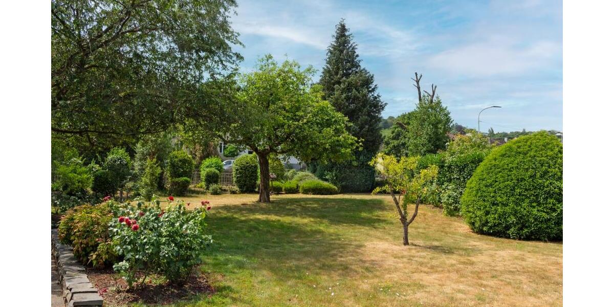Achtung Luxpendler-Freistehendes Wohnhaus mit Einliegerwohnung + tollem Grundstück Wasserliesch - Einfamilienhaus Wasserliesch | Angebot:27118131