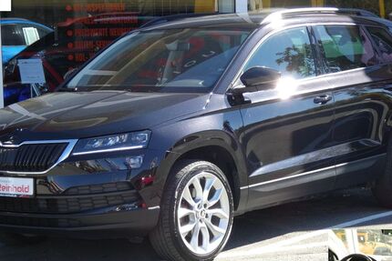 Skoda Karoq 116.676 km 18.490 &euro; Hof 95030