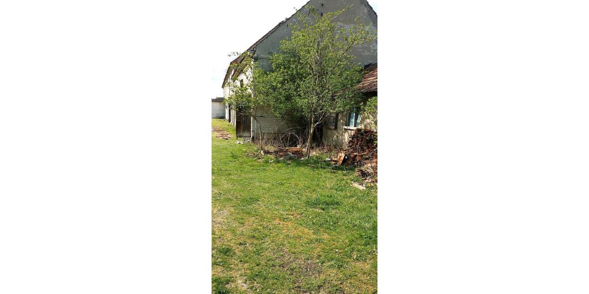 Bauernhaus, Landhaus Bad Liebenwerda - 10 Zimmer, 270 m&sup2;, 135.000&euro; | Angebot:26896551