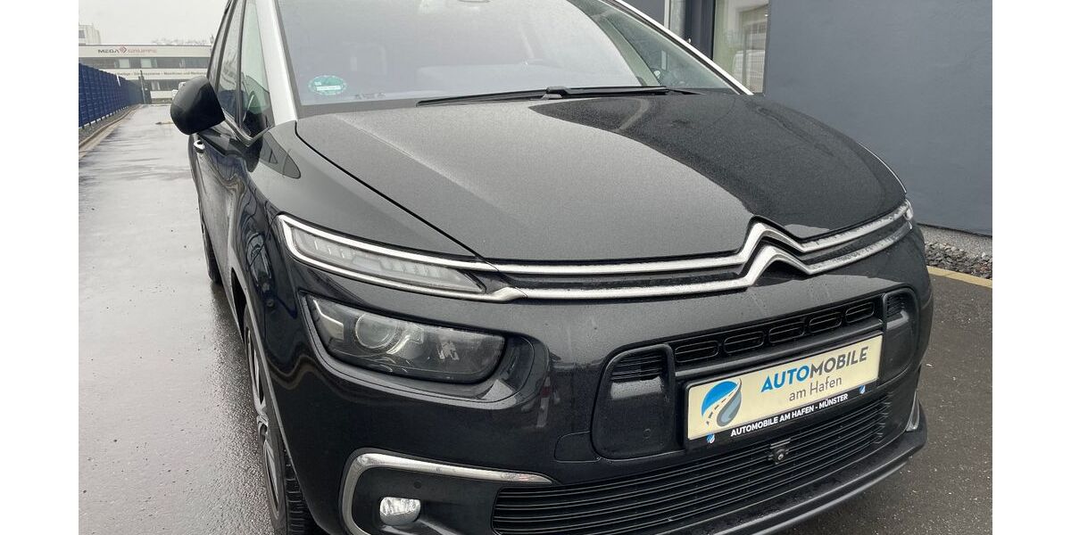 Citroen C4 145.000 km 11.990 &euro; Münster 48155