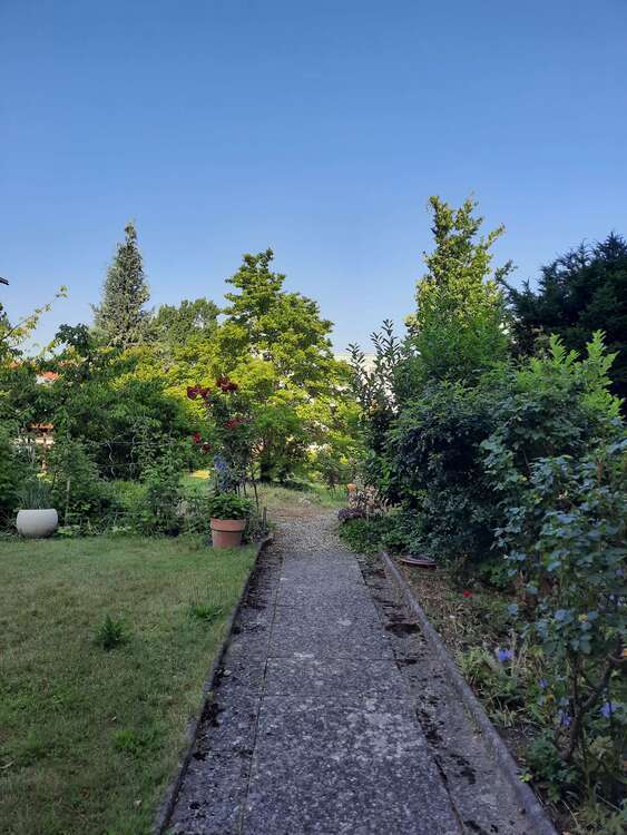 Wohnung zum Mieten in Hildesheim 650 € 64.67 m²