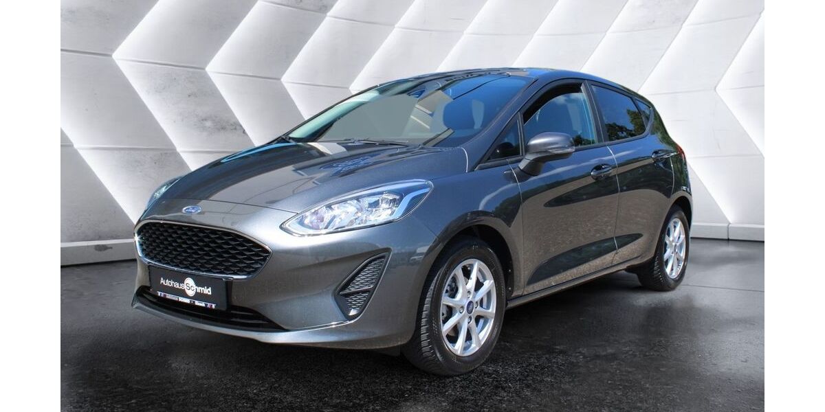 Ford Fiesta 86.800 km 9.900 &euro; Waldkirch 79183