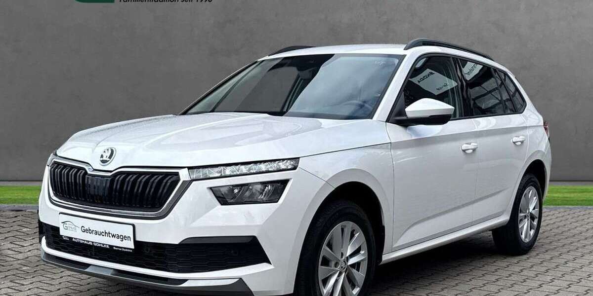 Skoda Kamiq 69.264 km 19.590 &euro; Borna OT Zedlitz 04552