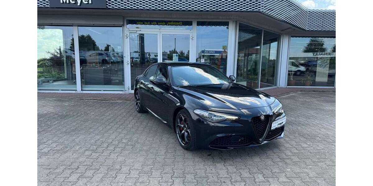 Alfa Romeo Giulia 99.501 km 25.990 &euro; Klötze 38486