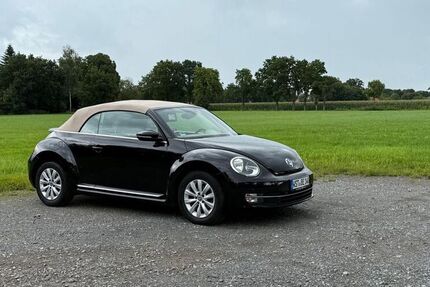 VW Beetle