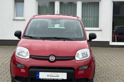 Fiat Panda 5.000 km 11.990 € Neuwied 56567