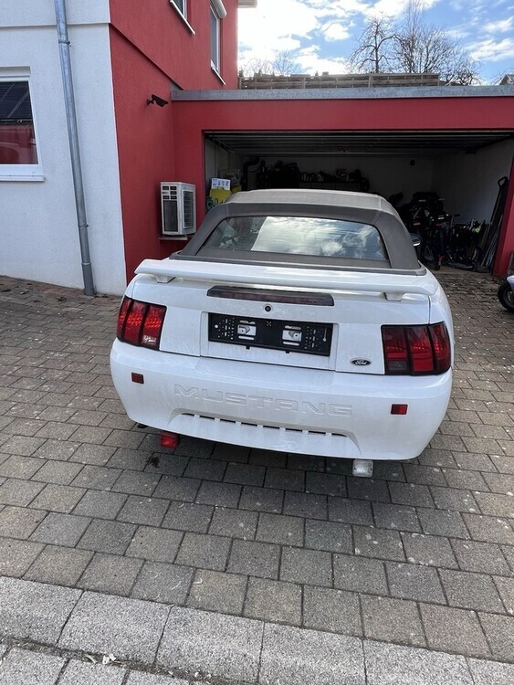 Mustang