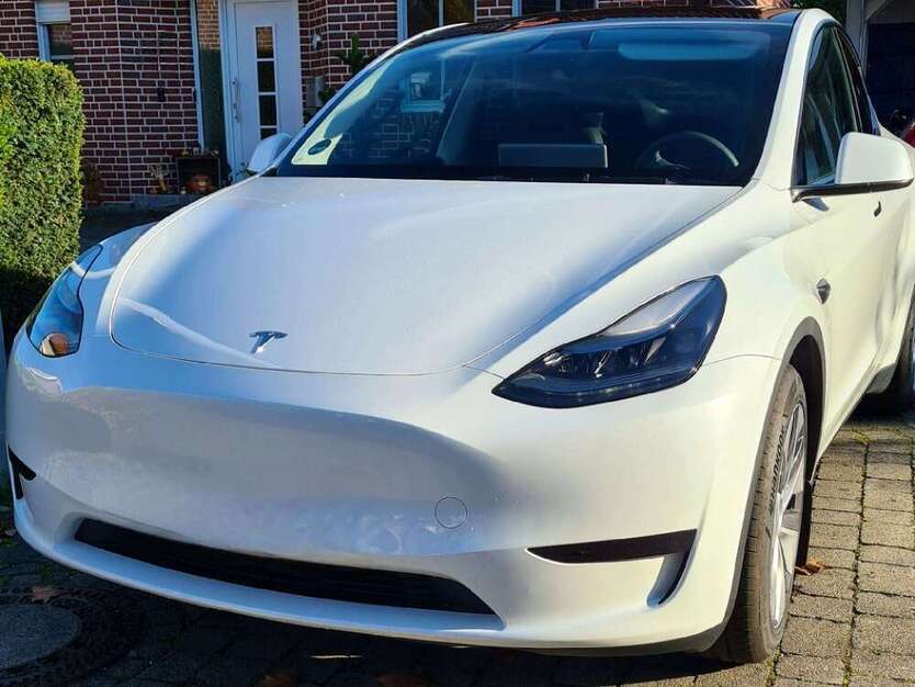 Model Y