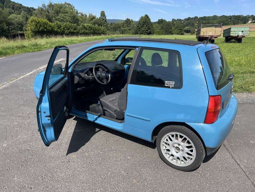 Lupo