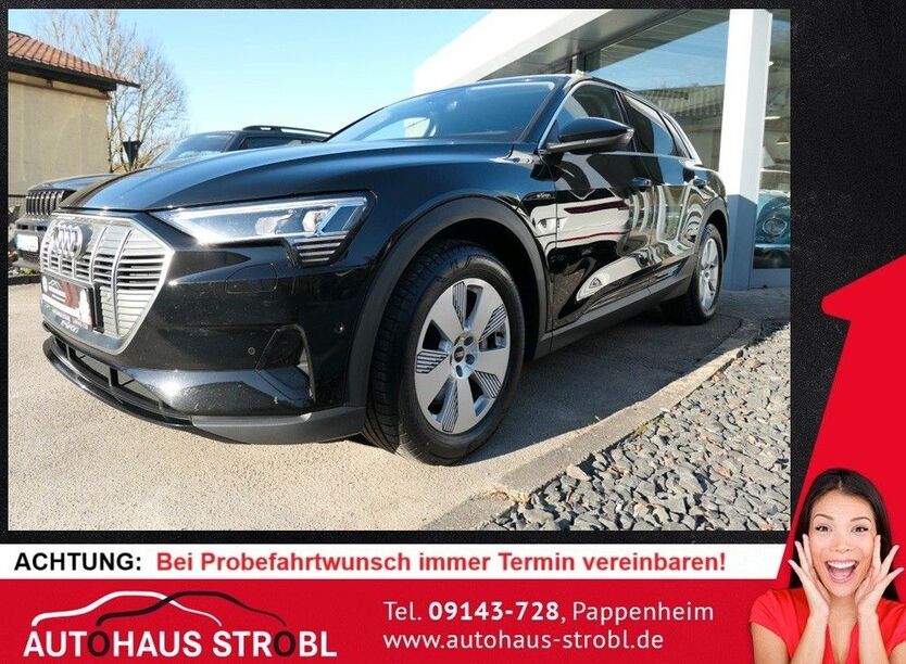 Audi e-tron 97.300 km 24.350 € Pappenheim 91788