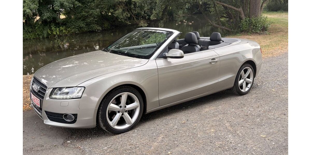 Audi A5 167.000 km 11.990 &euro; Nieder Gemünden 35329