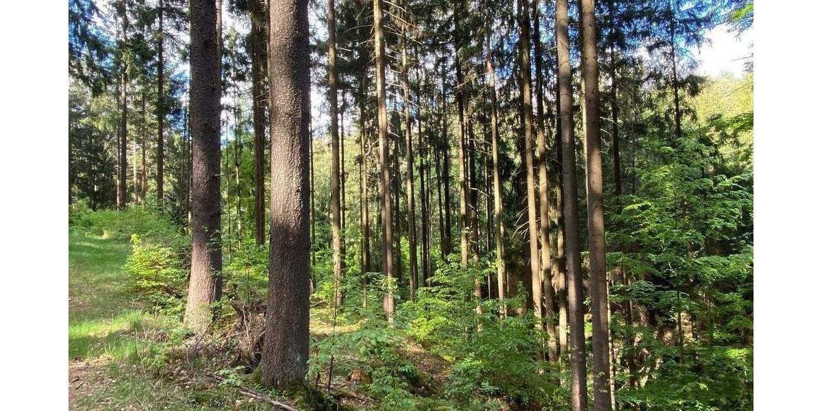 Grundstück Flossenbürg - 170.000&euro; | Angebot:26036735