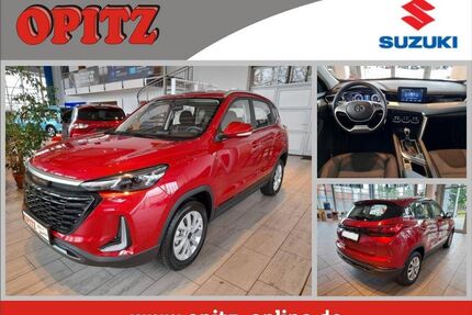 Baic Andere
