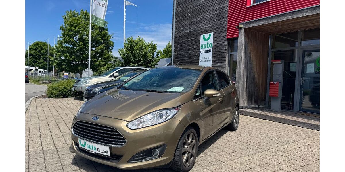 Ford Fiesta 127.000 km 5.500 &euro; Bodnegg - Rotheidlen 88285