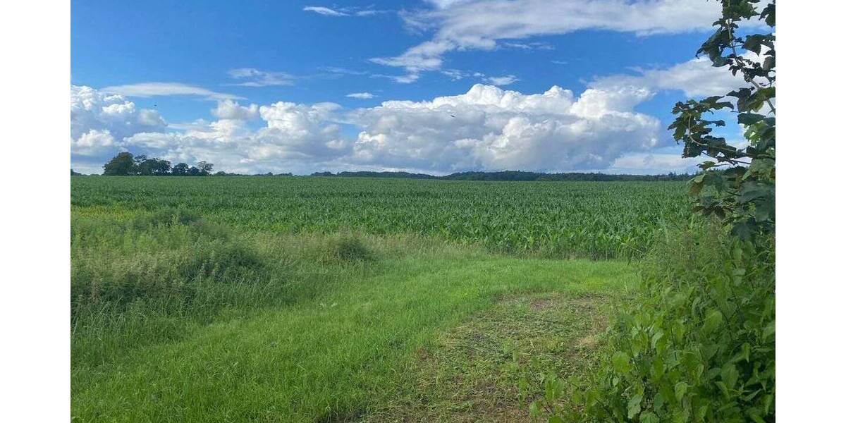 Grundstück Kasseedorf - 110.000&euro; | Angebot:25772311