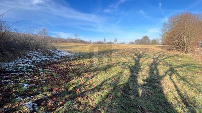 WOHNEN, ARBEITEN UND GESTALTEN IN EINEM KONZEPT - Grundstück Frielendorf | Angebot:26061979