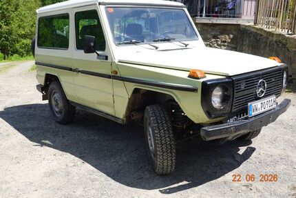 Mercedes-Benz G 300 99.999 km 10.000 &euro; Niedersayn 56244