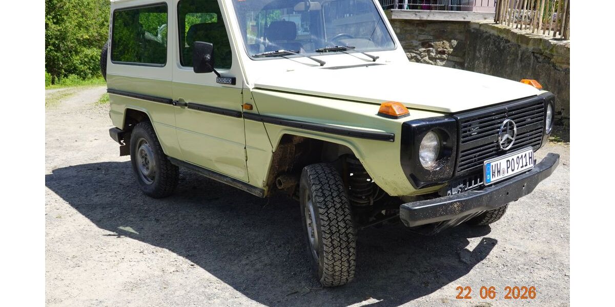 Mercedes-Benz G 300 99.999 km 10.000 &euro; Niedersayn 56244