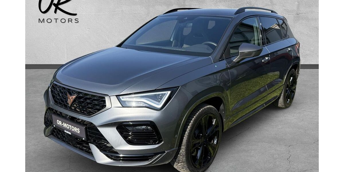 Cupra Ateca 79.500 km 25.990 &euro; Großwallstadt 63868