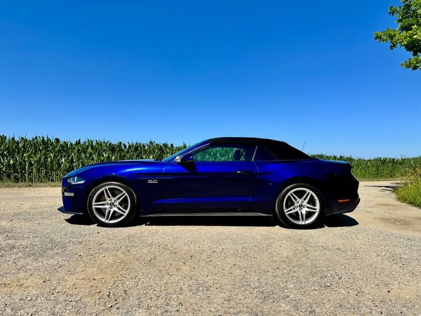 Mustang