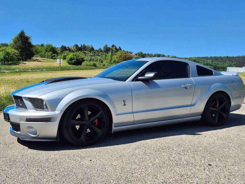 Mustang