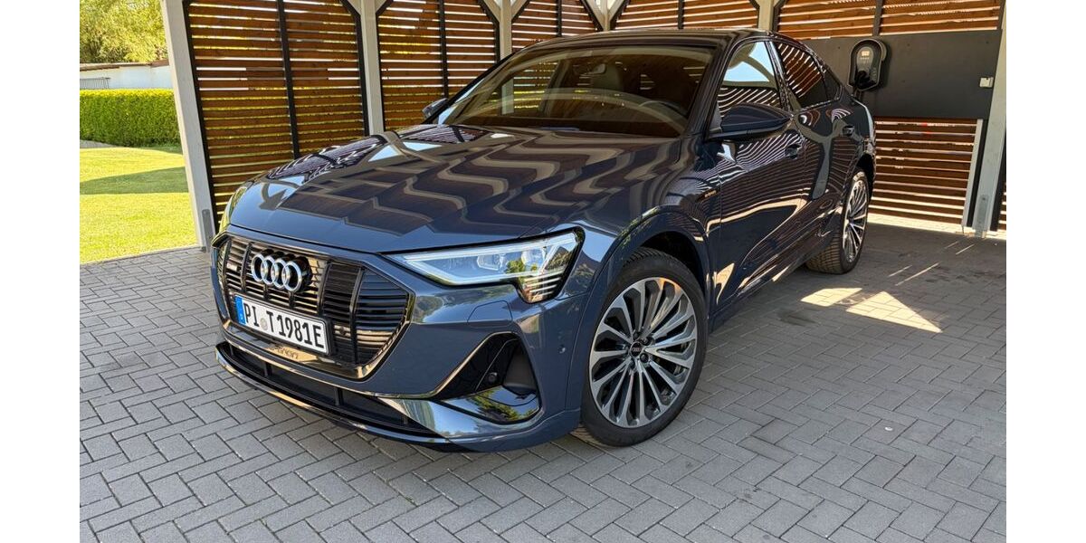 Audi e-tron 92.000 km 35.990 &euro; Pinneberg 25421