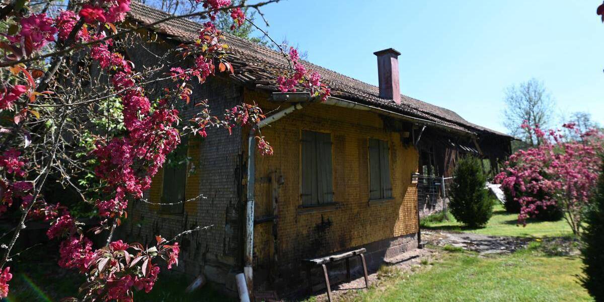 Grundstück Baiersbronn Mitteltal - 580.000&euro; | Angebot:25662458