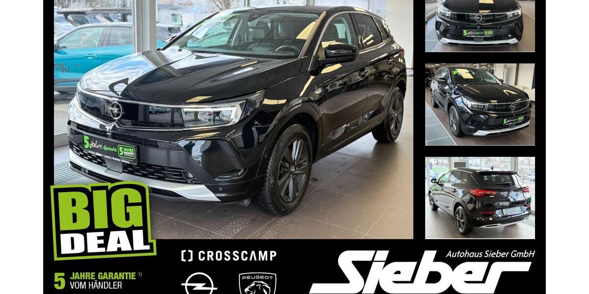 Opel Grandland (X) 33.798 km 21.490 &euro; Landshut 84034