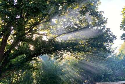 Grundstück Wiesbaden Bierstadt - 58.000&euro; | Angebot:25626963