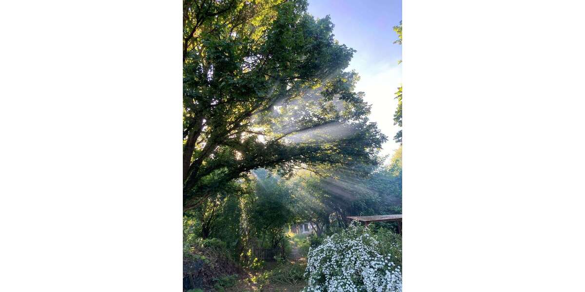 Grundstück Wiesbaden Bierstadt - 58.000&euro; | Angebot:25626963