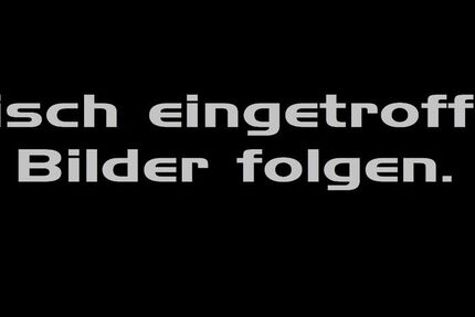 Seat Ibiza 99.777 km 14.344 &euro; Rheine 48432