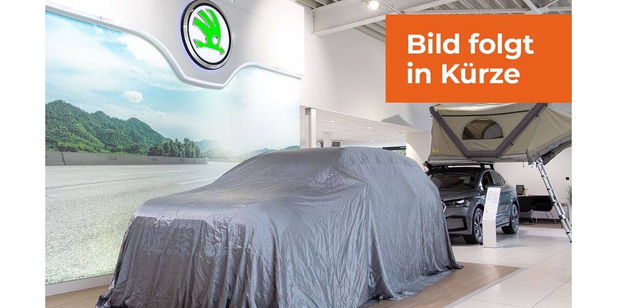 Skoda Fabia 50.273 km 14.980 &euro; Hannover 30165