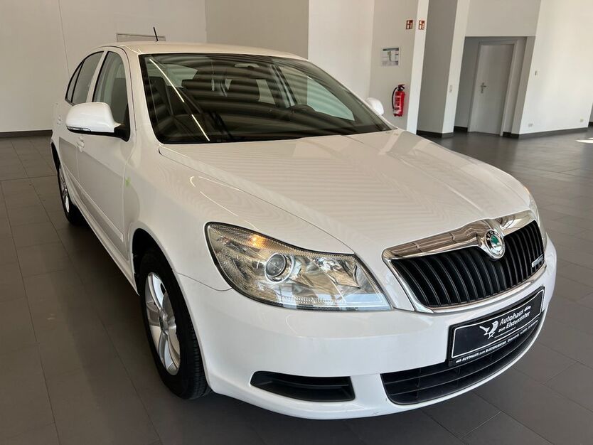 Skoda Octavia 195.100 km 7.990 € Elsterwerda 04910