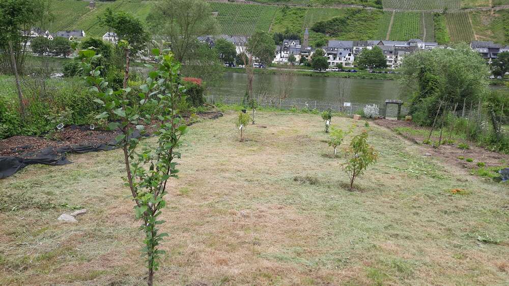 Grundstück Zell-Kaimt Kaimt - 25.000&euro; | Angebot:22722322