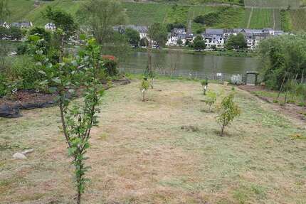 Grundstück Zell-Kaimt Kaimt - 26.000&euro; | Angebot:22722322