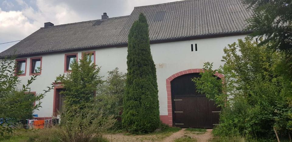 Bauernhaus, Landhaus Freisen - 7 Zimmer, 160 m&sup2;, 85.000&euro; | Angebot:27030275