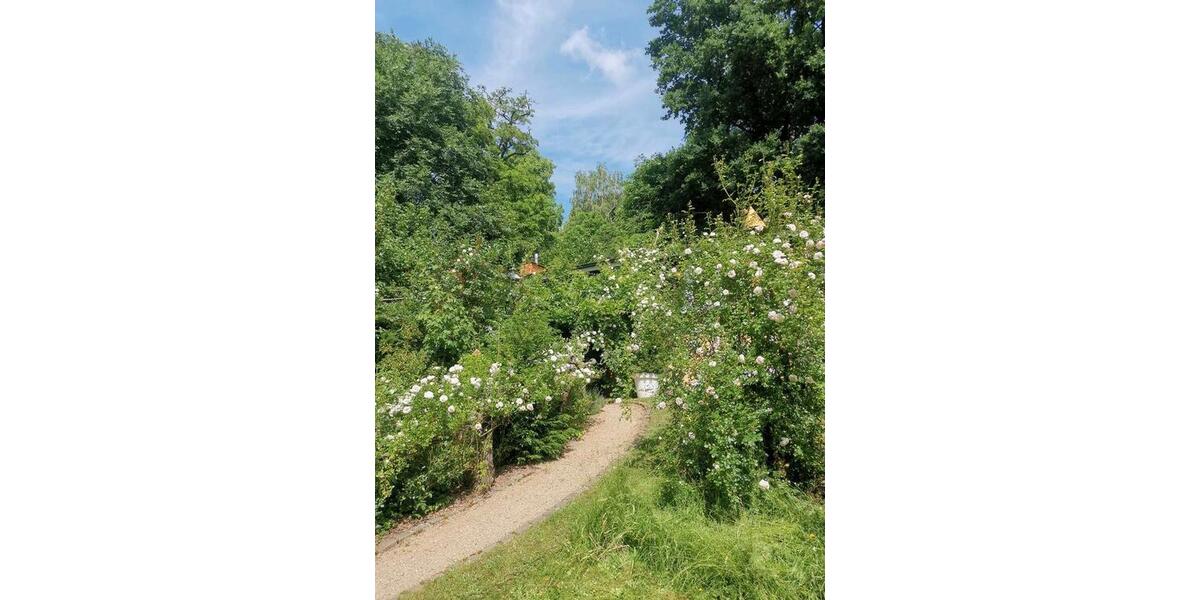 Einfamilienhaus Sankt Wendel - 3 Zimmer, 156 m&sup2;, 270.000&euro; | Angebot:27030273