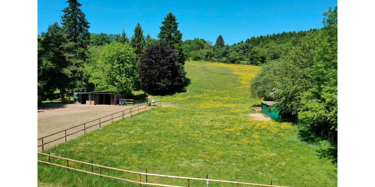 Einfamilienhaus Hellenthal - 8 Zimmer, 174 m&sup2;, 549.000&euro; | Angebot:26826781