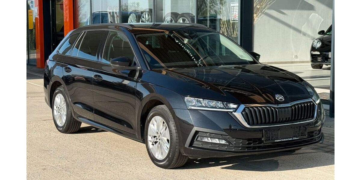 Skoda Octavia 160.000 km 15.999 &euro; Zierenberg-Oelshausen 34289