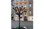 Gewerbeobjekt Sankt Goar St Goar - 218&euro; | Angebot:25977488
