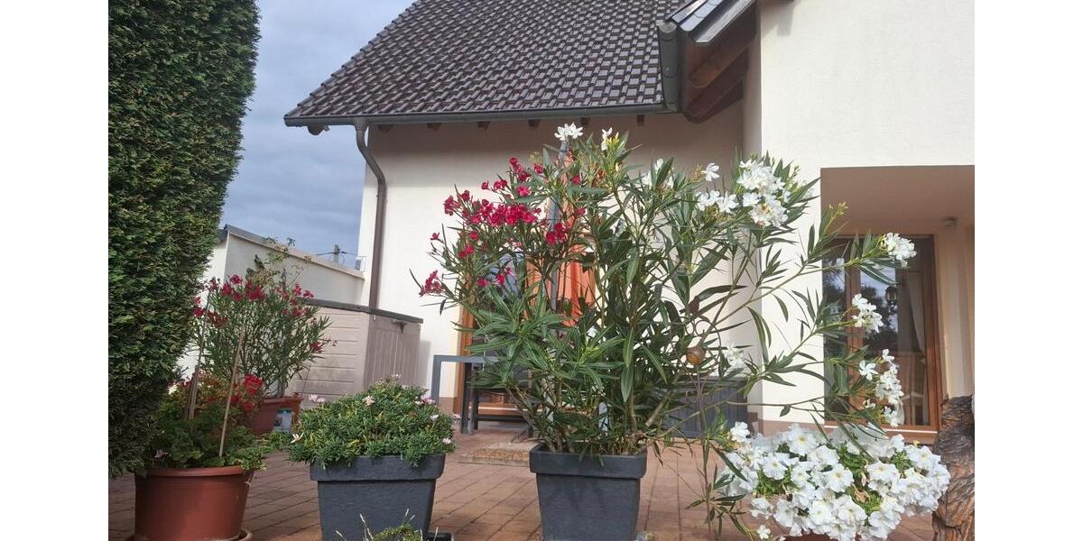 Mehrfamilienhaus, Wohnhaus Magdeburg Brückfeld - 11 Zimmer, 238 m&sup2;, 675.000&euro; | Angebot:27225207