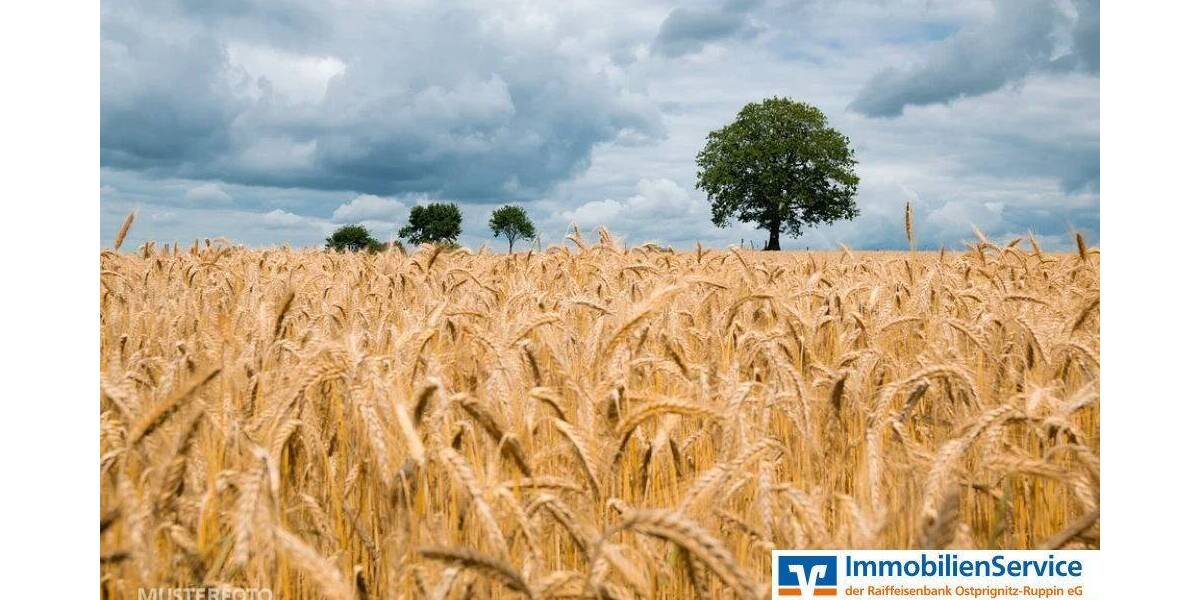 Grundstück Neuruppin - 116.130&euro; | Angebot:25983398