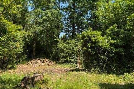 Grundstück Machern - 368.000&euro; | Angebot:25340693