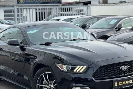 Ford Mustang 138.000 km 19.498 &euro; Worms 67547