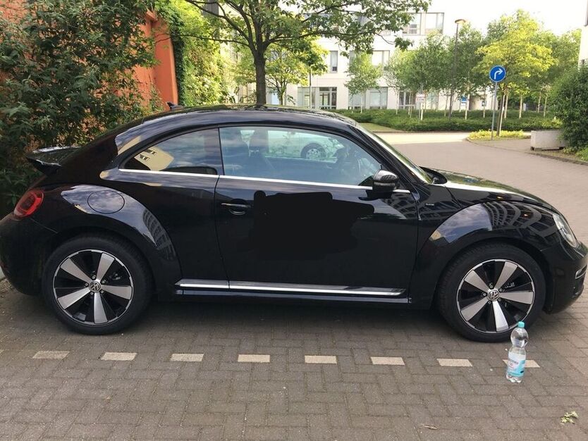 Beetle