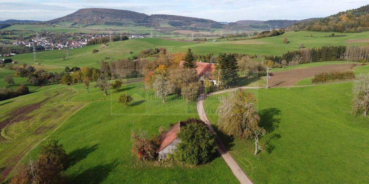 Bauernhaus, Landhaus Blumberg / Fützen Nordhalden - 8 Zimmer, 262 m&sup2;, 649.000&euro; | Angebot:24531221