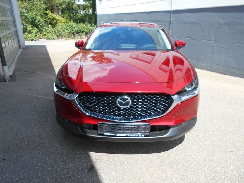 CX-30