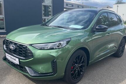Ford Kuga 2.000 km 39.490 &euro; Schönhofen und Neutraubling 93152