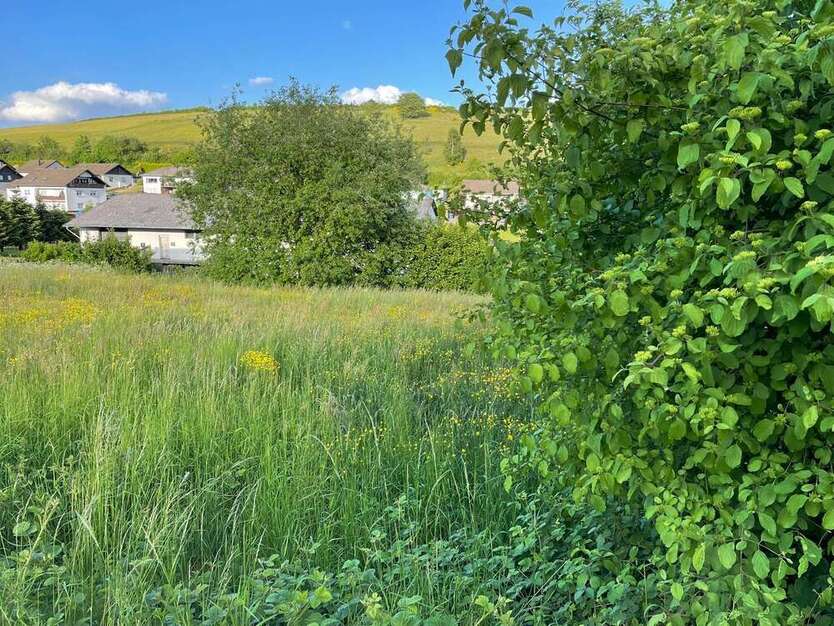 Grundstück zu verkaufen in Burbach 50.000 € 1100 m²
